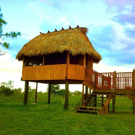 Everglades Chickee Cottage & Bungalow - Ochopee Екстериор снимка