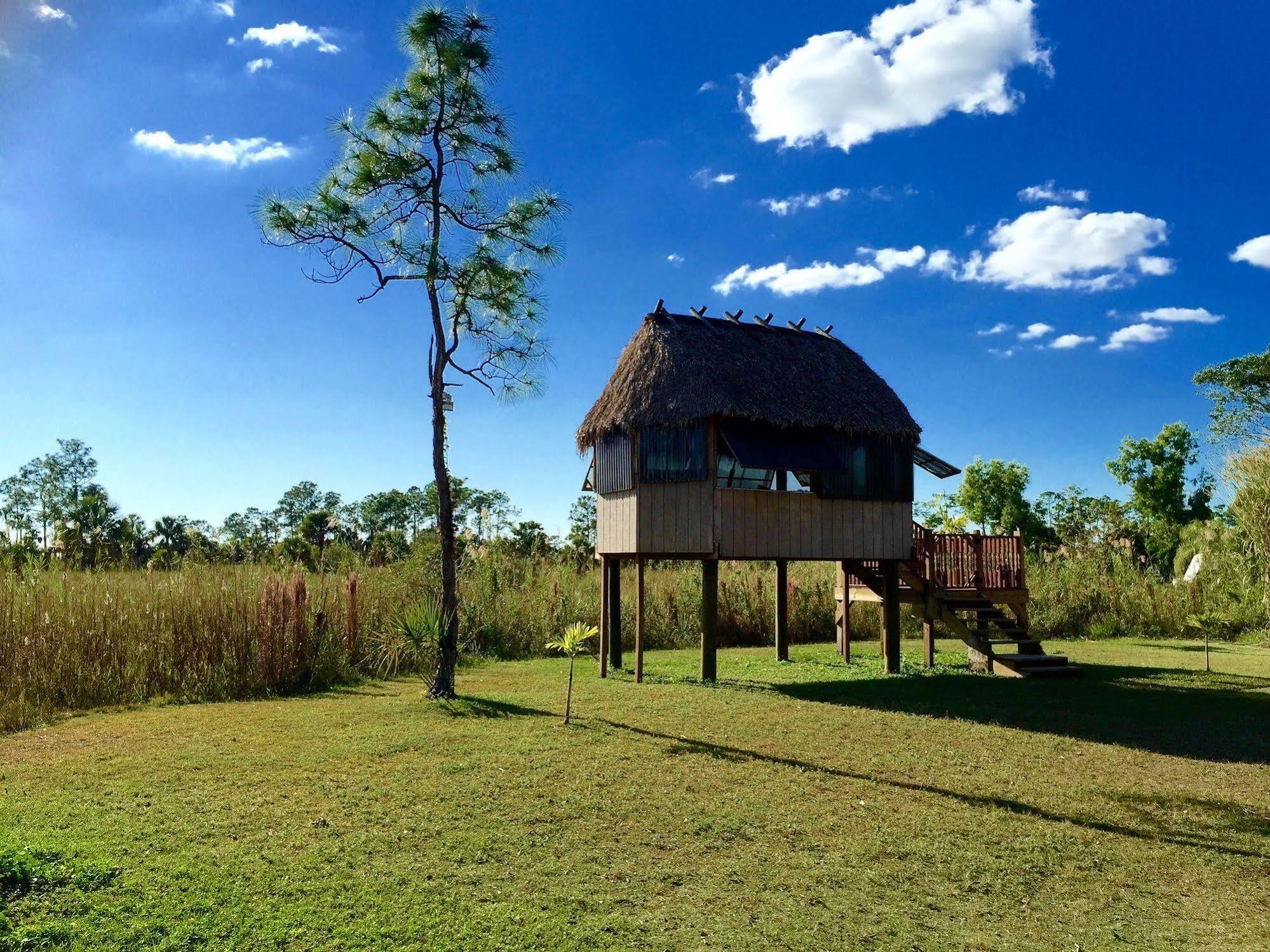 Everglades Chickee Cottage & Bungalow - Ochopee Екстериор снимка
