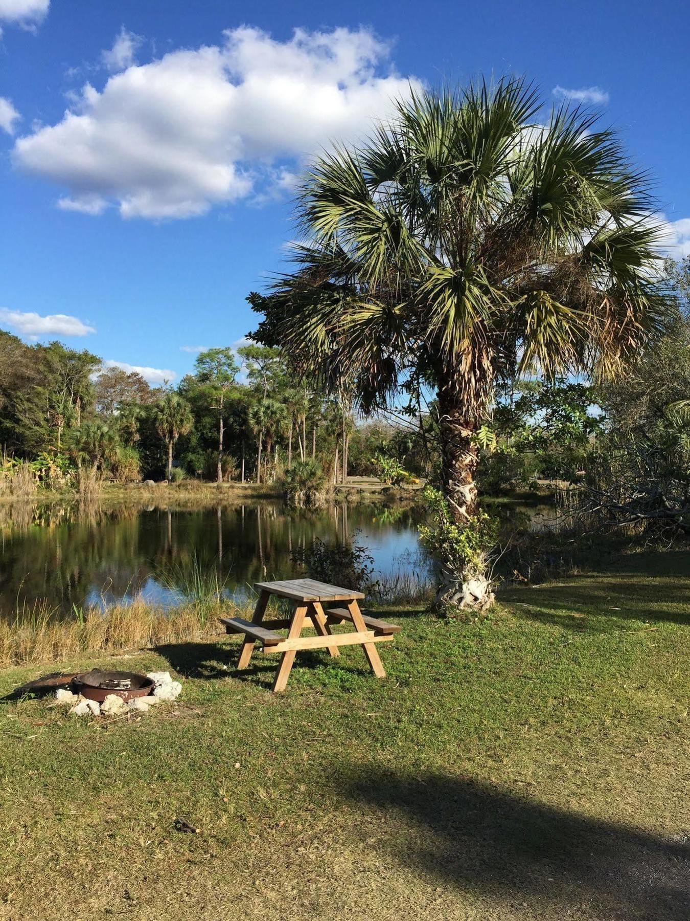 Everglades Chickee Cottage & Bungalow - Ochopee Екстериор снимка